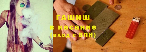 прущие грибы Магас