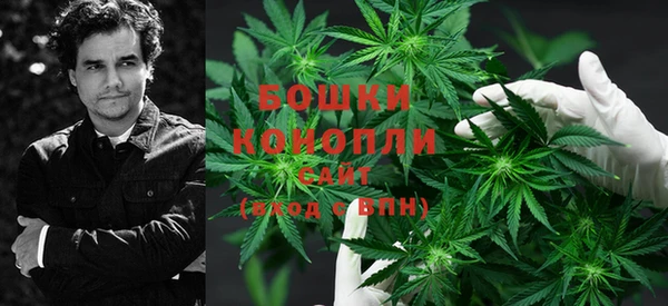 прущие грибы Магас