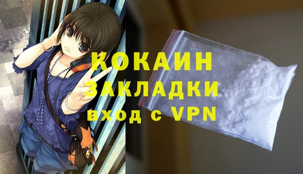 прущие грибы Магас