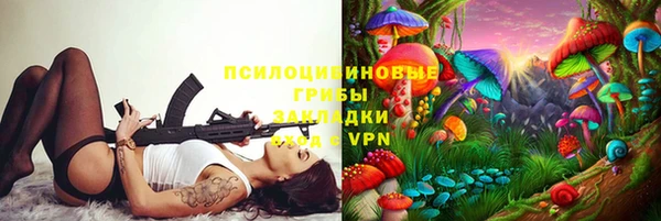 ГАЛЛЮЦИНОГЕННЫЕ ГРИБЫ Магадан