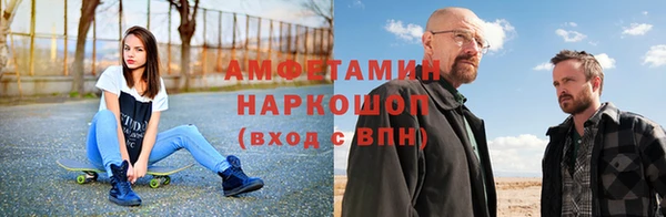 прущие грибы Магас