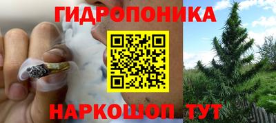 эйфоретик Кумертау