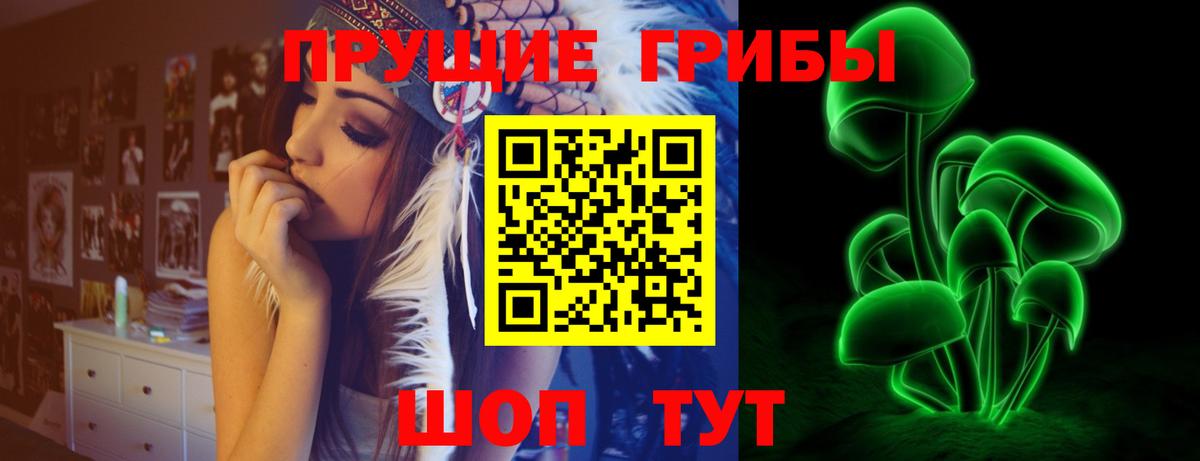 Димитровград  Псилоцибиновые грибы Psilocybe  Вход с VPN 